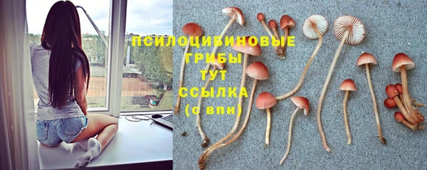 ешки Алзамай