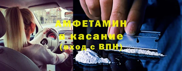 мет Алексин